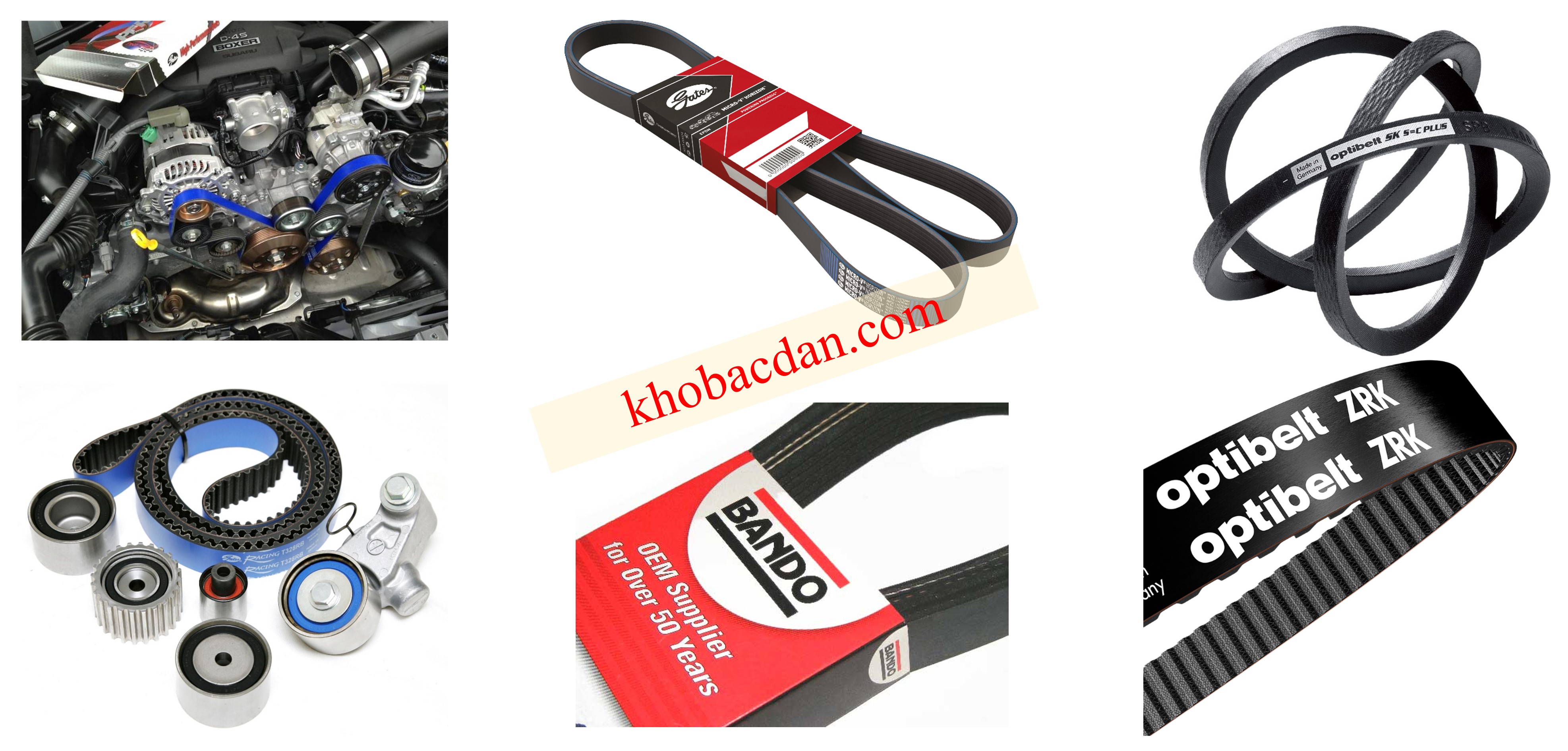 BELTs